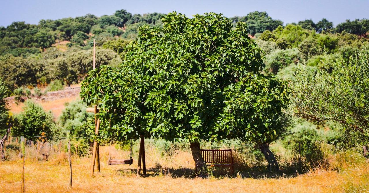알란드로알 Quinta Da Soneca 아파트 외부 사진